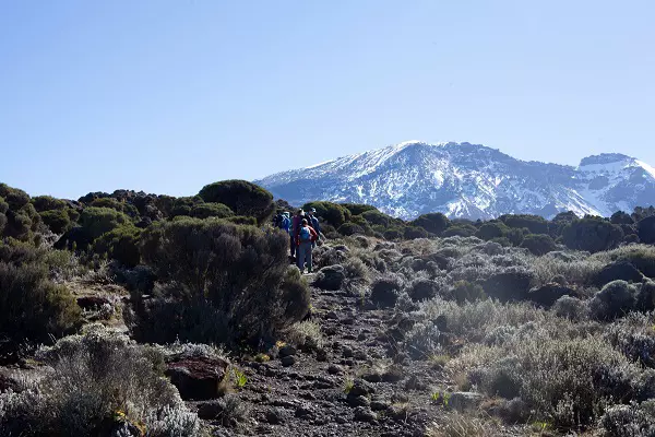 The 7-day Lemosho route Kilimanjaro climbing tour package